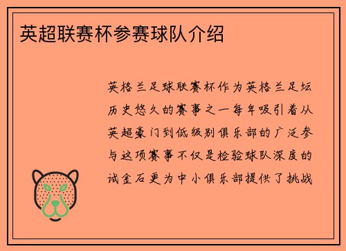 英超联赛杯参赛球队介绍